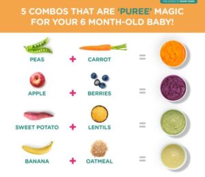 Little spoon baby food ingredients 